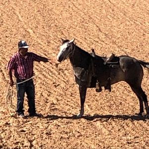 Meet your Posher, Sam